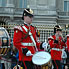 Buckingham Guard 10
