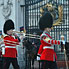 Buckingham Guard 5