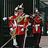 Buckingham Guard 9
